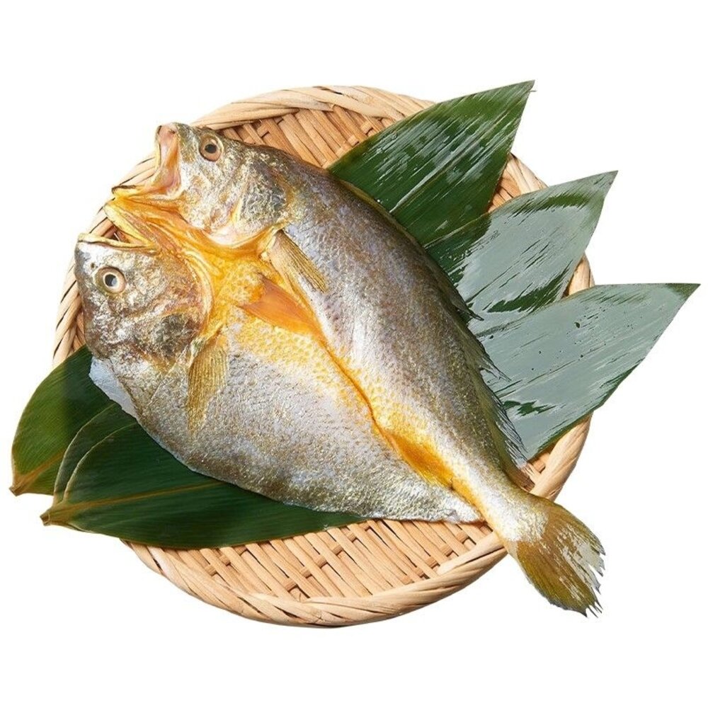 13120525285-黃魚 一夜干 200-250G SGG 檢驗合格
