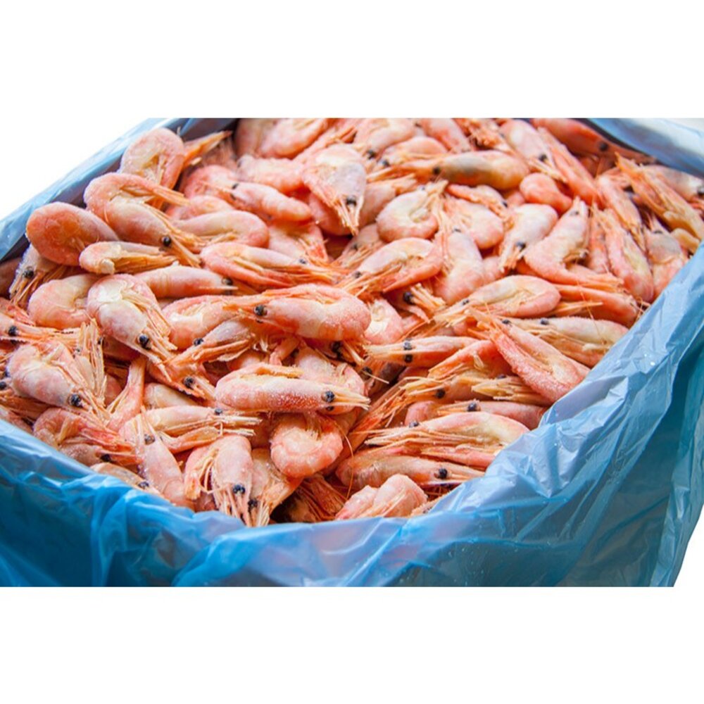 北極甜蝦  女神熟甜蝦  甜蝦 蝦-圖片-1