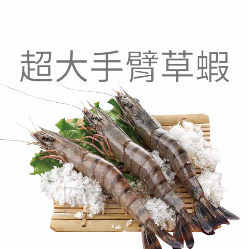 手臂蝦 海草蝦 草蝦 一公斤 封面照片
