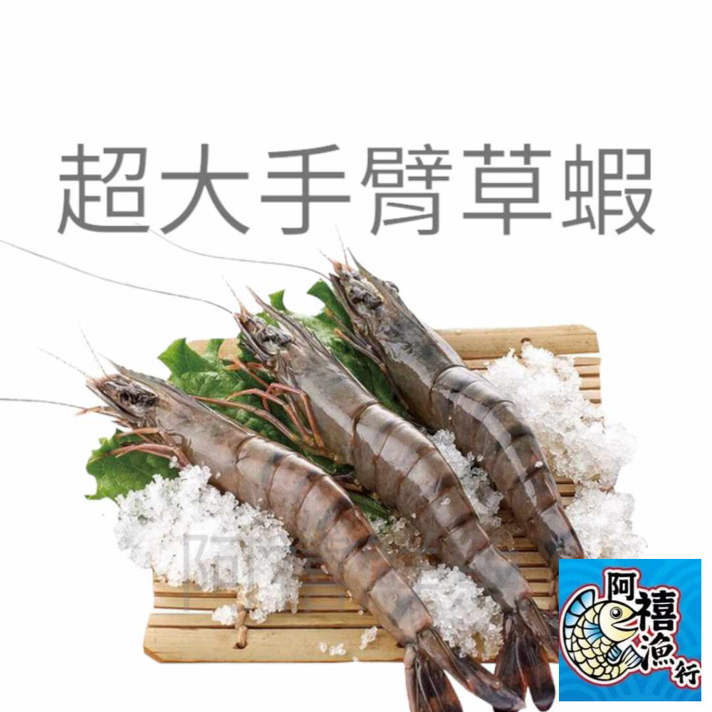 13869567060-手臂蝦 海草蝦 草蝦 一公斤