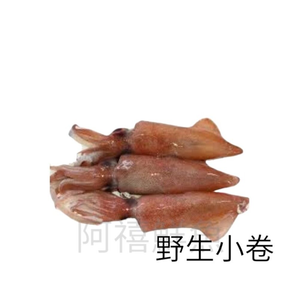 盒卷 生小卷 咪咪卷-圖片-1