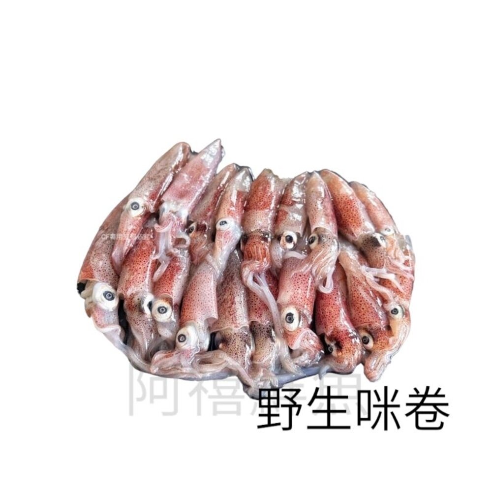 盒卷  生小卷 咪咪卷-圖片-2