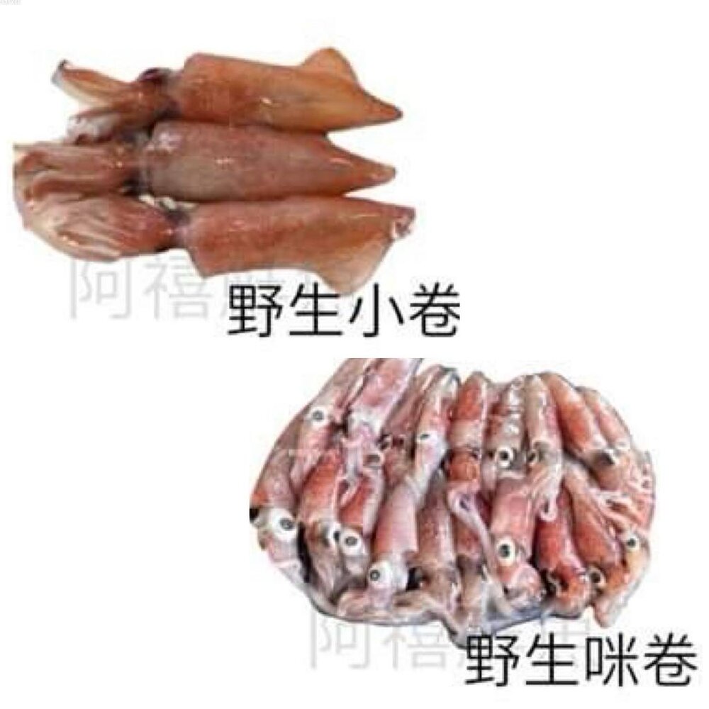 盒卷生小卷咪咪卷