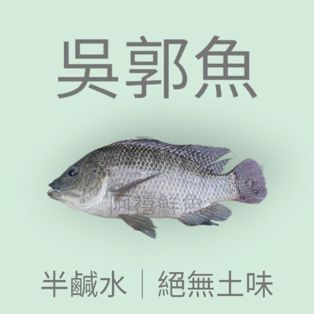 19077921812-吳郭魚 不刮鱗 半鹹水 鹽烤800-900g