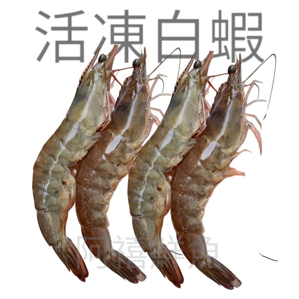 泰蝦子蝦界的LV 活凍 白蝦 蝦 16／20 封面照片