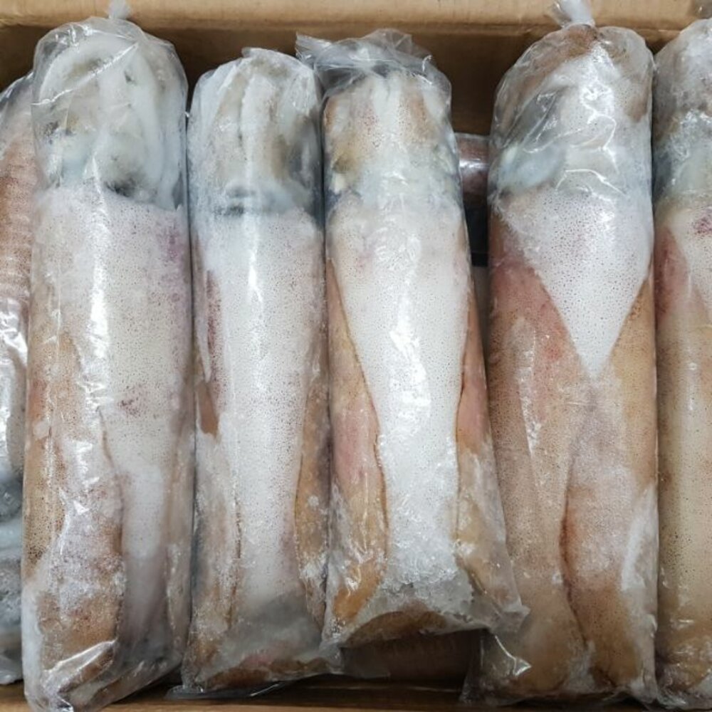 軟絲  5A 4a 封面照片