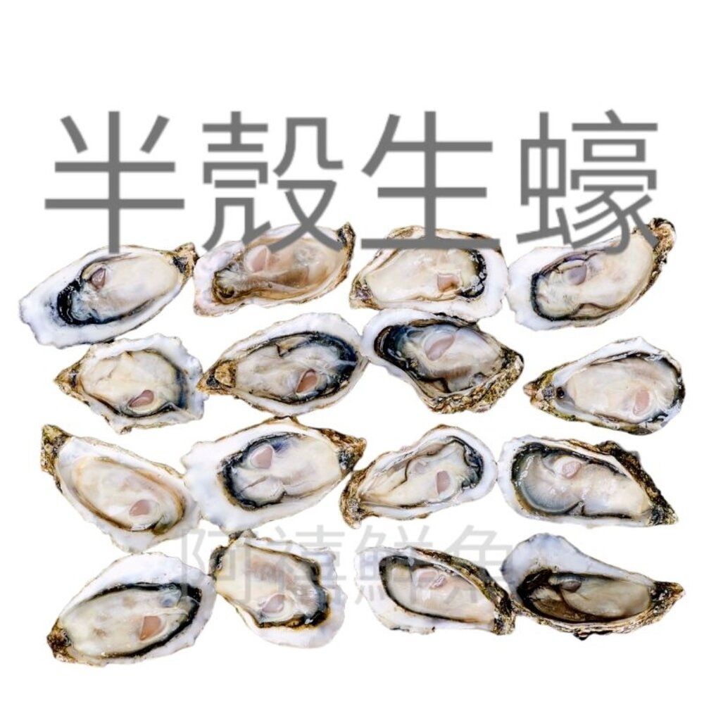 半殼 生蠔 蚵仔 半殼生蠔 12打-圖片-1