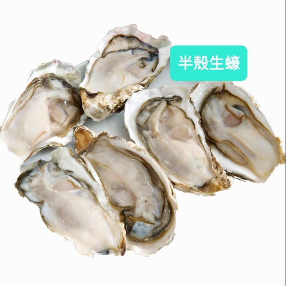 半殼生蠔蚵仔半殼生蠔12打