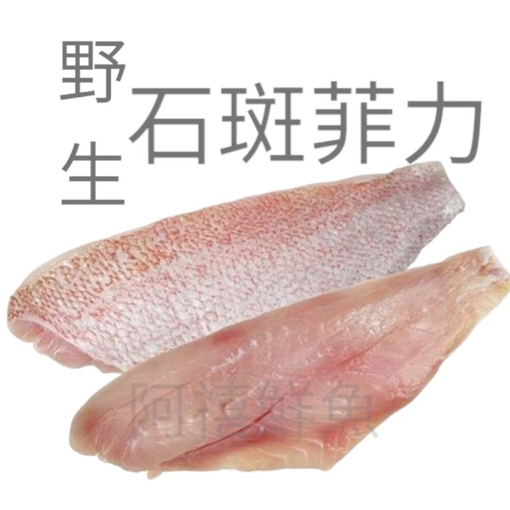 21493375716-野生 紅魚片 紅石斑 菲力