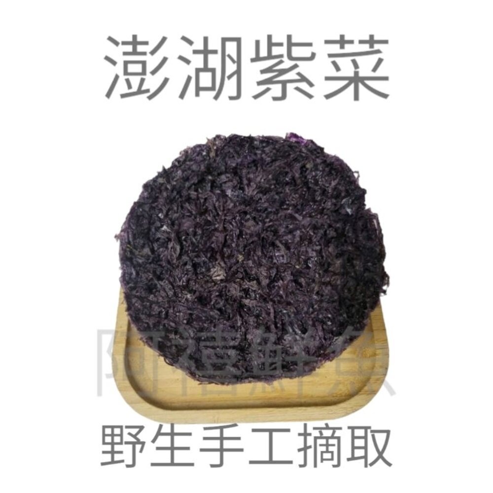 澎湖 紫菜 封面照片