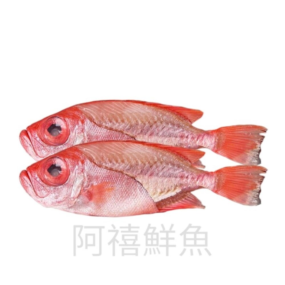 22273064786-紅目鰱 2條入 魚