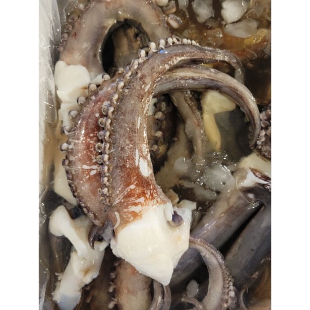 章魚脚 風味  魷魚腳 軟足 封面照片