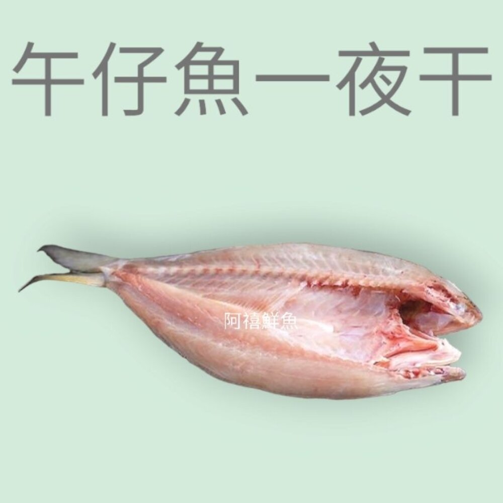 22840341974-午仔魚 一夜干250-300G