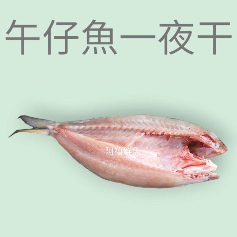 22840341974-午仔魚 一夜干