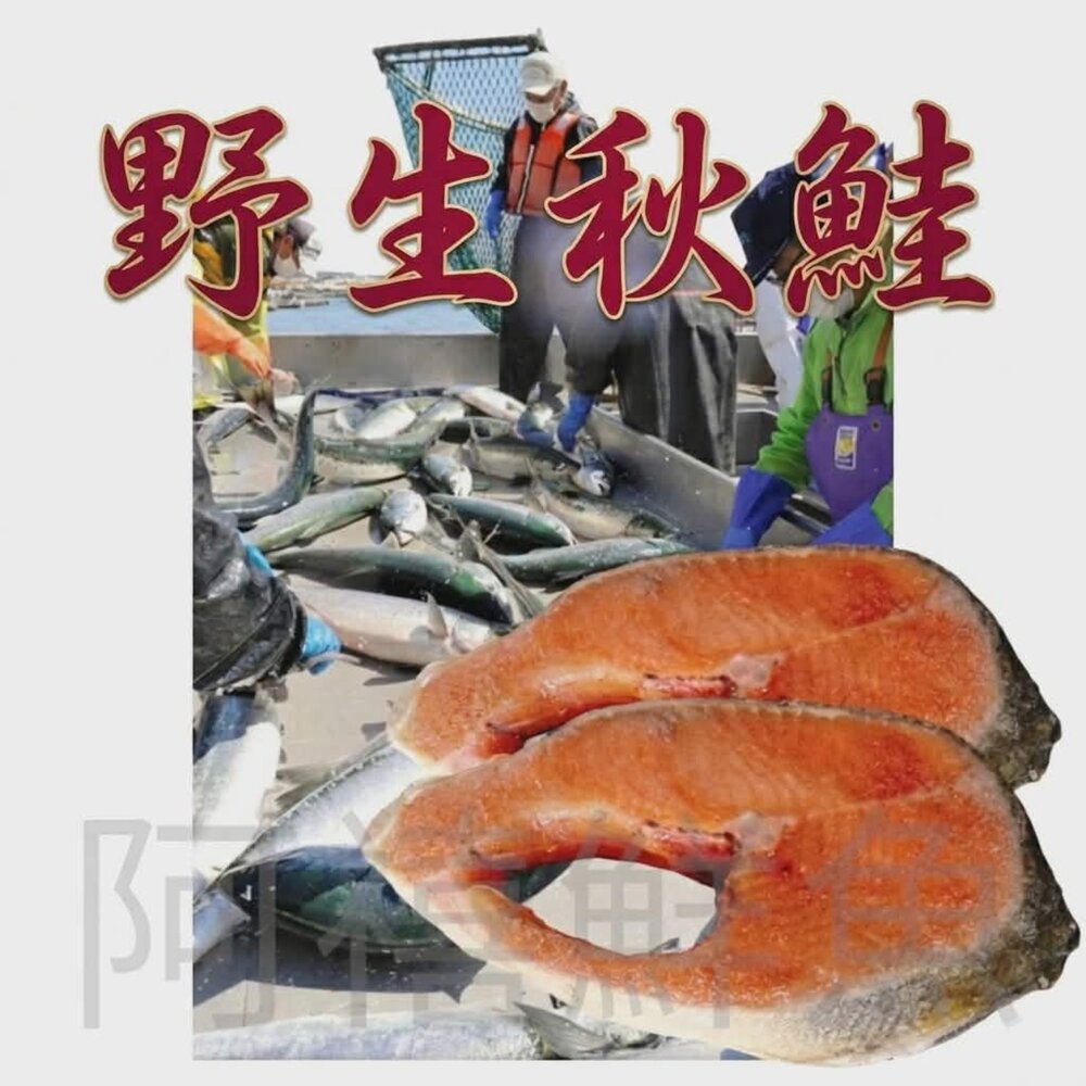 22987023826-野生  秋鮭  鮭魚