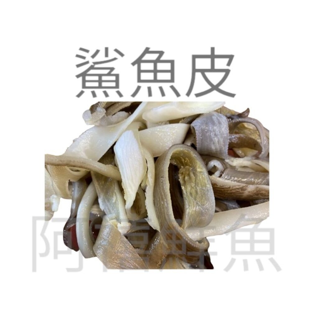 魚皮 鯊魚皮 封面照片