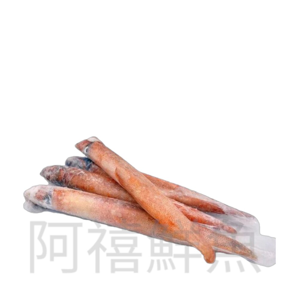 240827190520-活凍 透抽  中卷 花枝 船上活凍300-400g