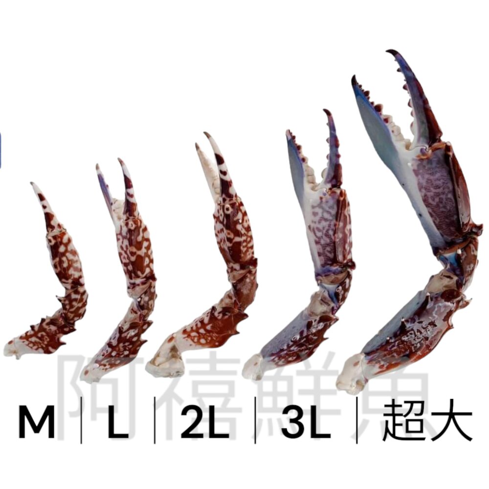 青市腳 蟹腳 蟹鉗 青花蟹 花蟹3L 封面照片