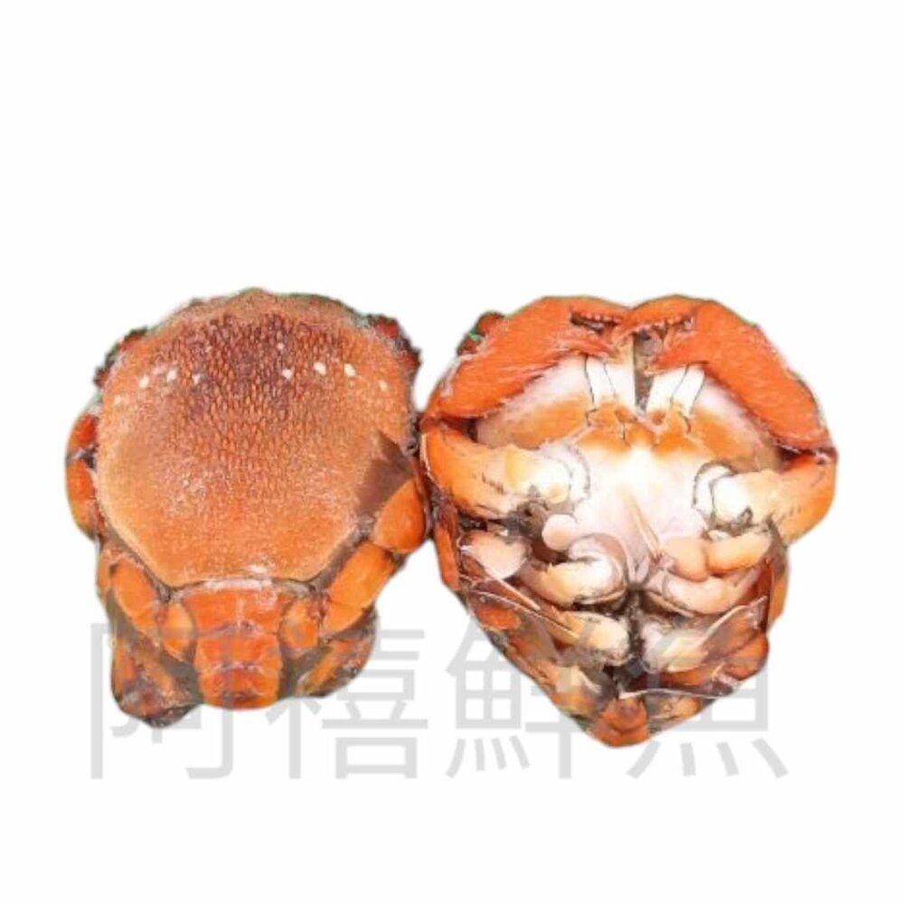 240921090530-旭蟹  倒退嚕 150-200G