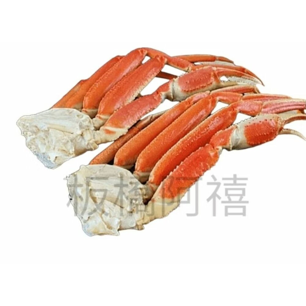 240922075103-松葉蟹 螃蟹 蟹 熟的