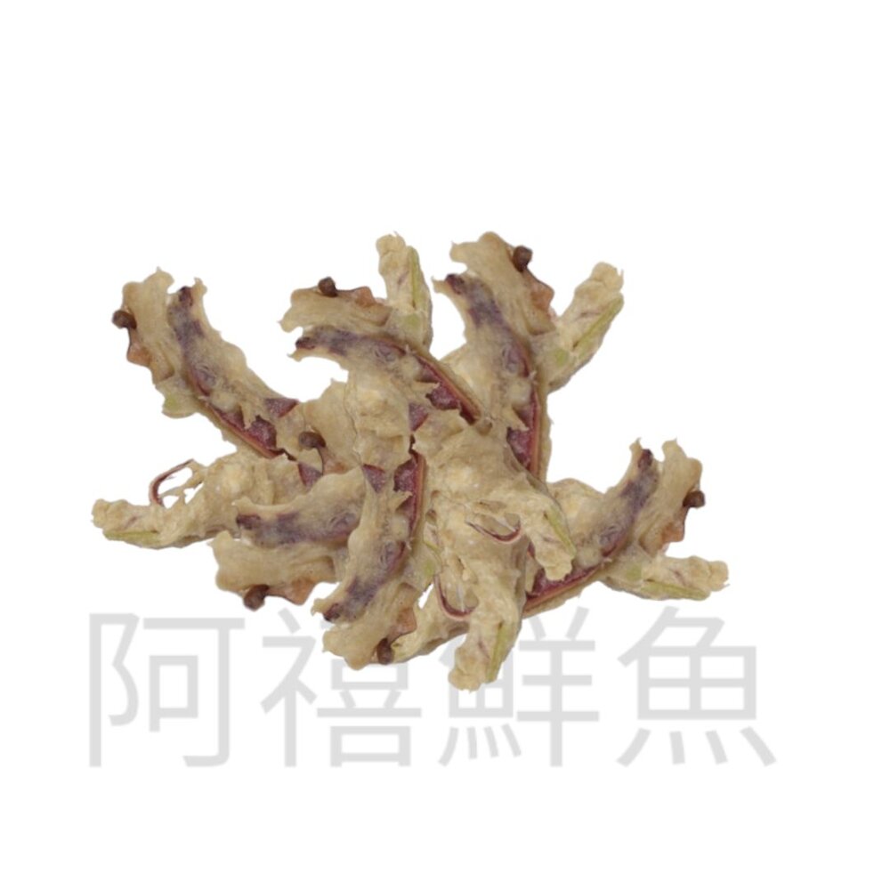 魷魚羹 魷魚 封面照片