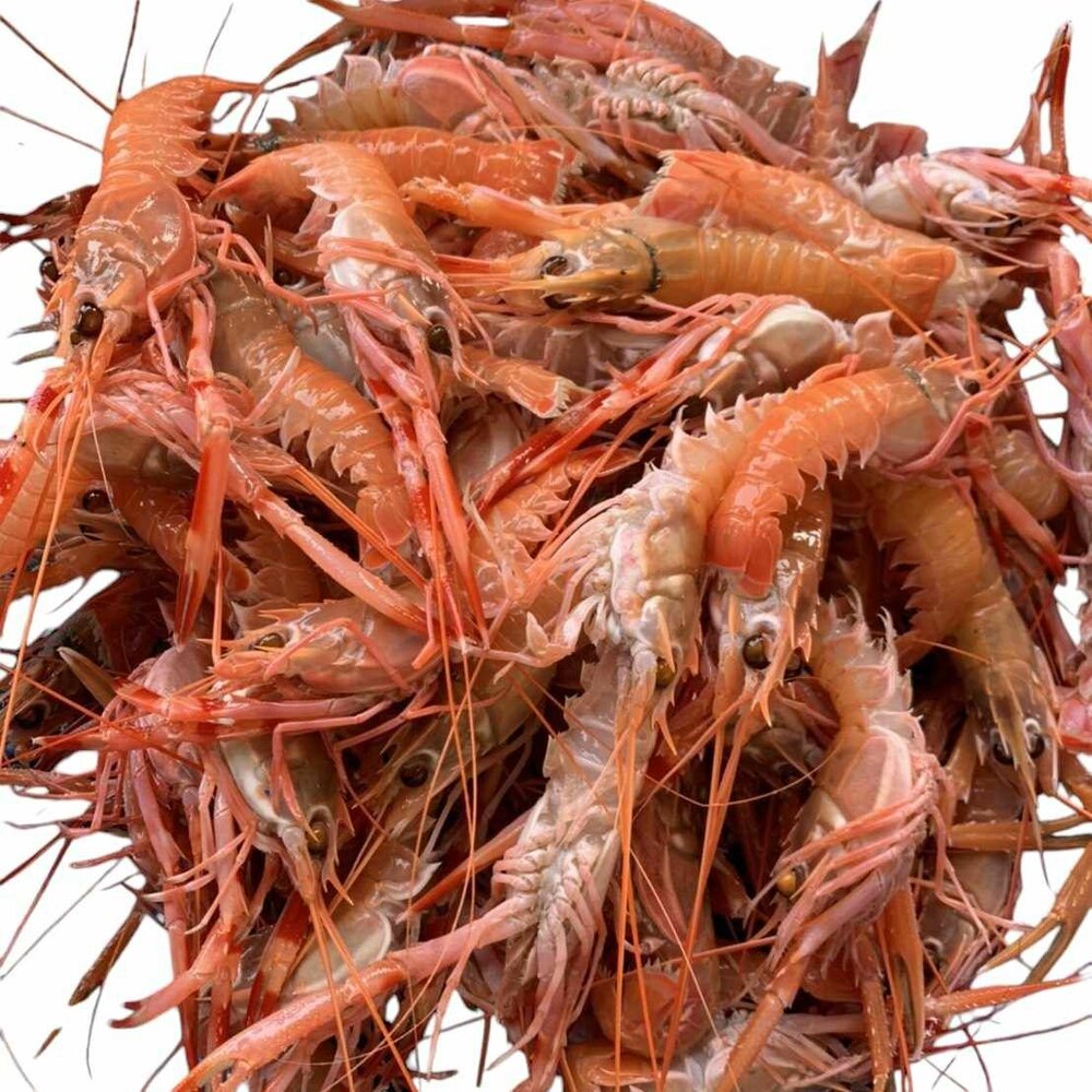 角蝦 海蝦 1000G 又稱鐵甲蝦、小龍蝦 封面照片