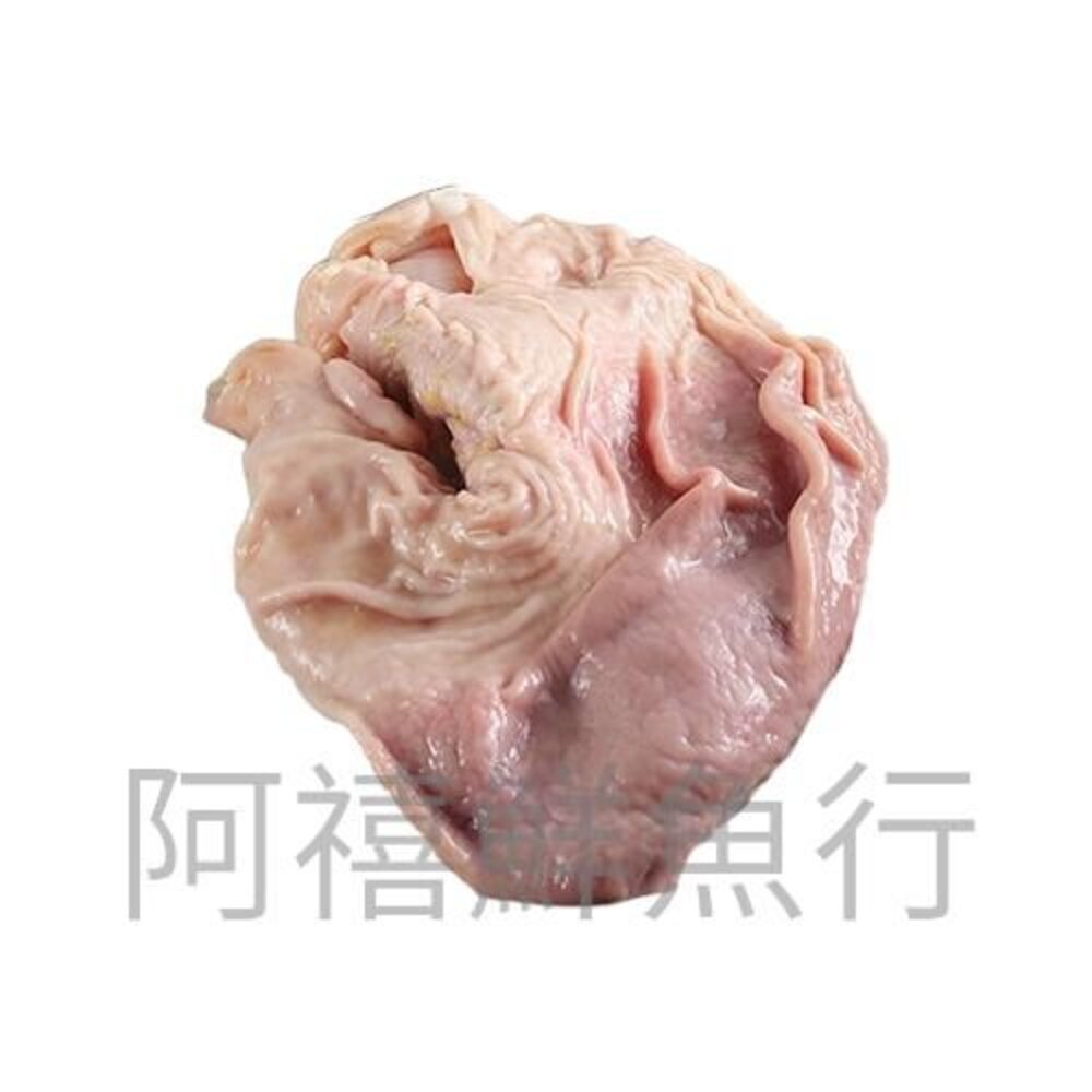 豬肚 封面照片