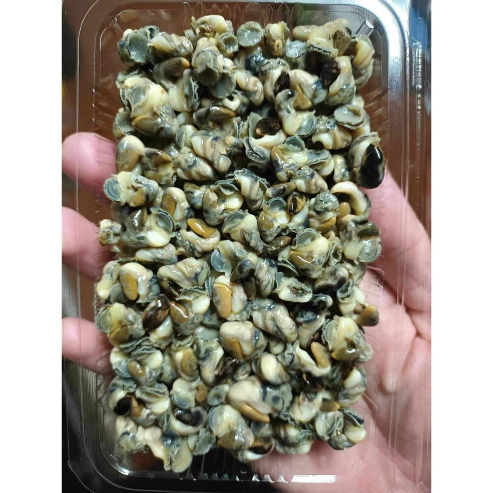 澎湖新鮮現挖肥美 螺肉 封面照片