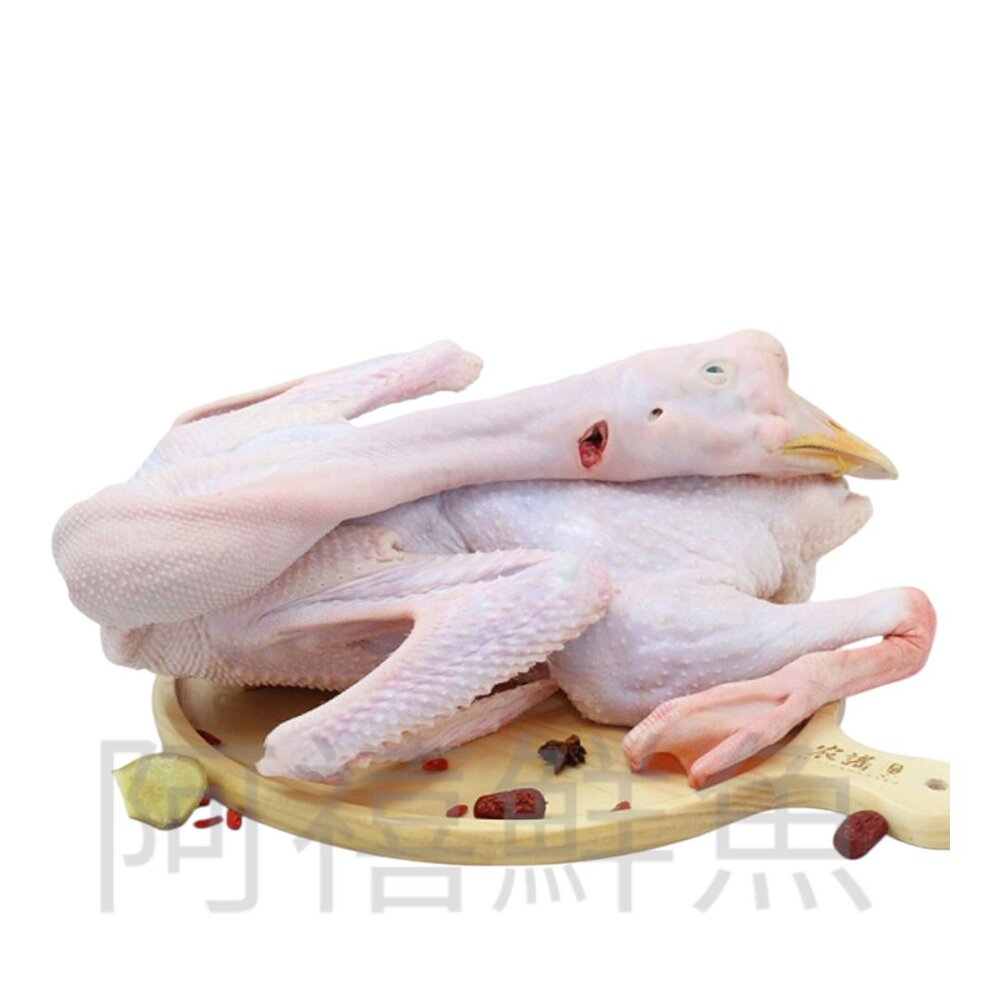 241207183002-新鮮 整隻 全鵝 鵝肉