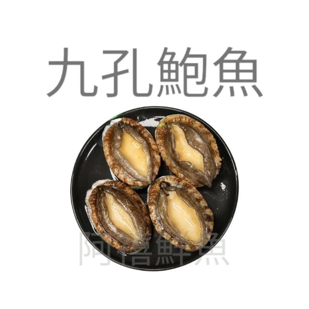 24309490675-九孔鮑魚 買 10粒送一粒