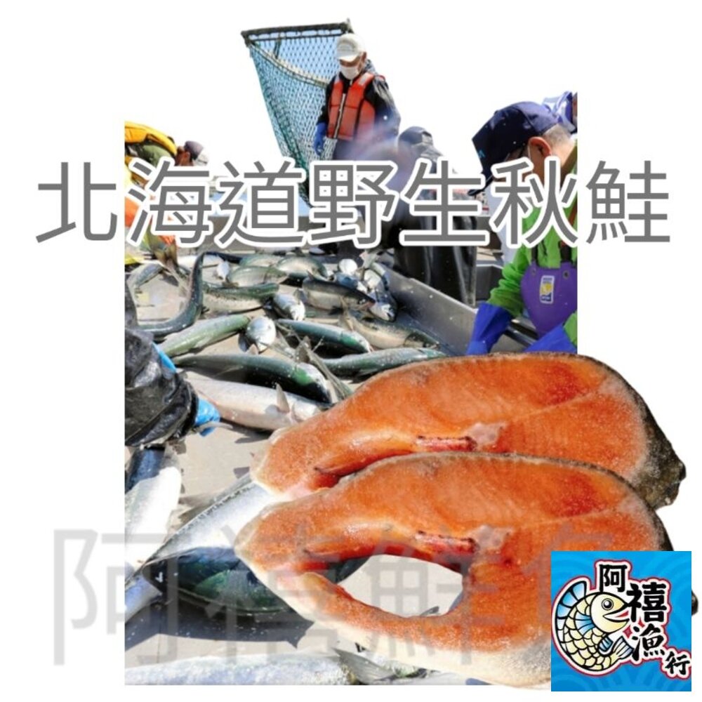 25003128338-北海道 秋鮭〔整箱下單〕20片