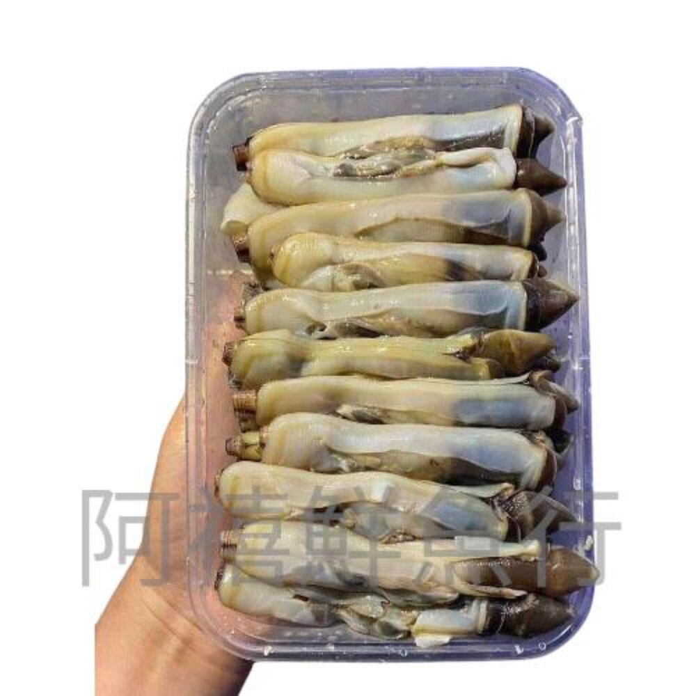 250315104305-竹蛤 肉 蟶竹肉 500G