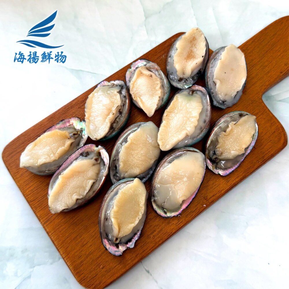 小顆 九孔 可做塔香九孔/醬醃九孔-圖片-1