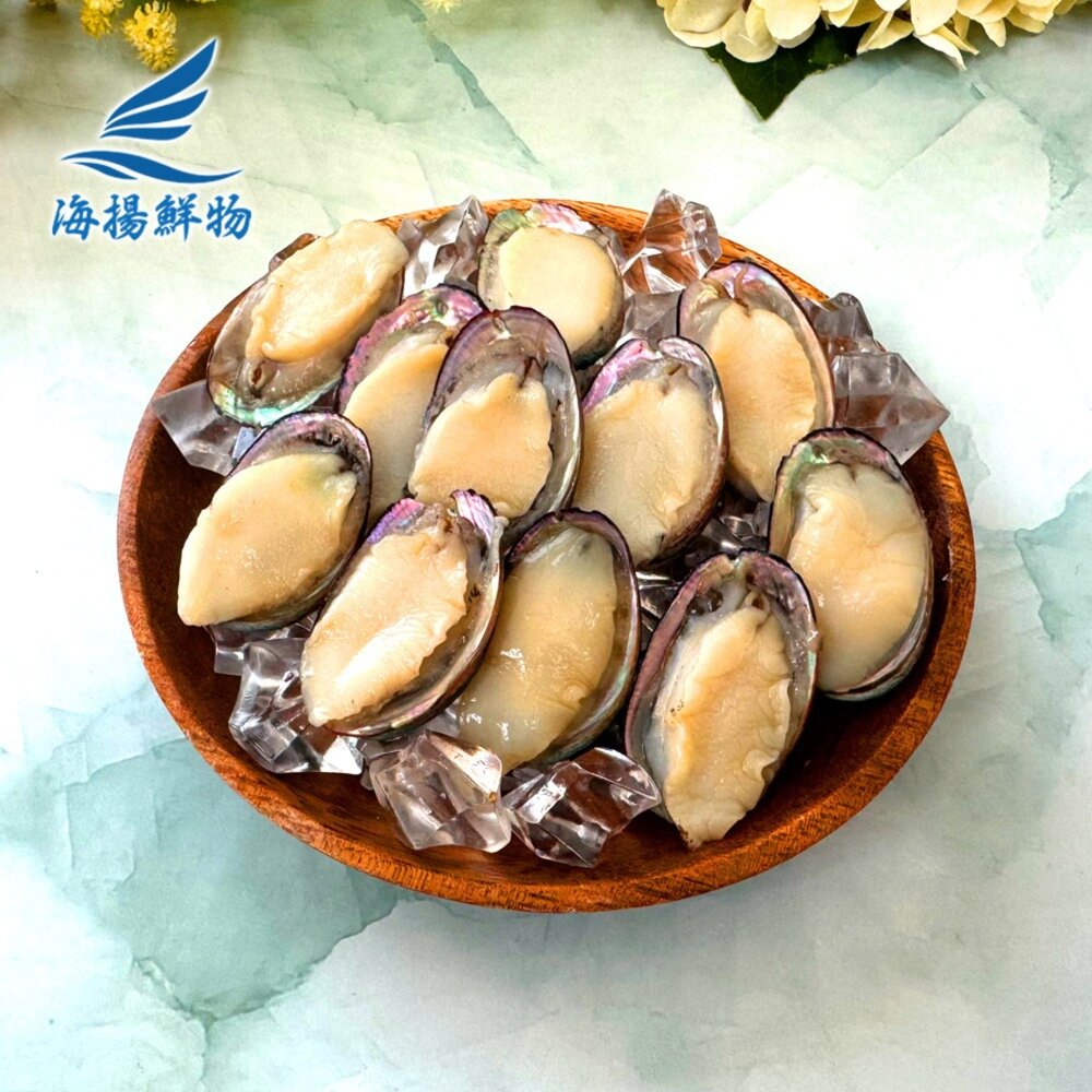 小顆 九孔 可做塔香九孔/醬醃九孔-圖片-2