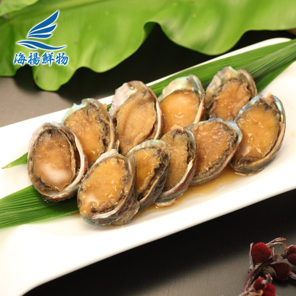 小顆 九孔 可做塔香九孔/醬醃九孔-圖片-3