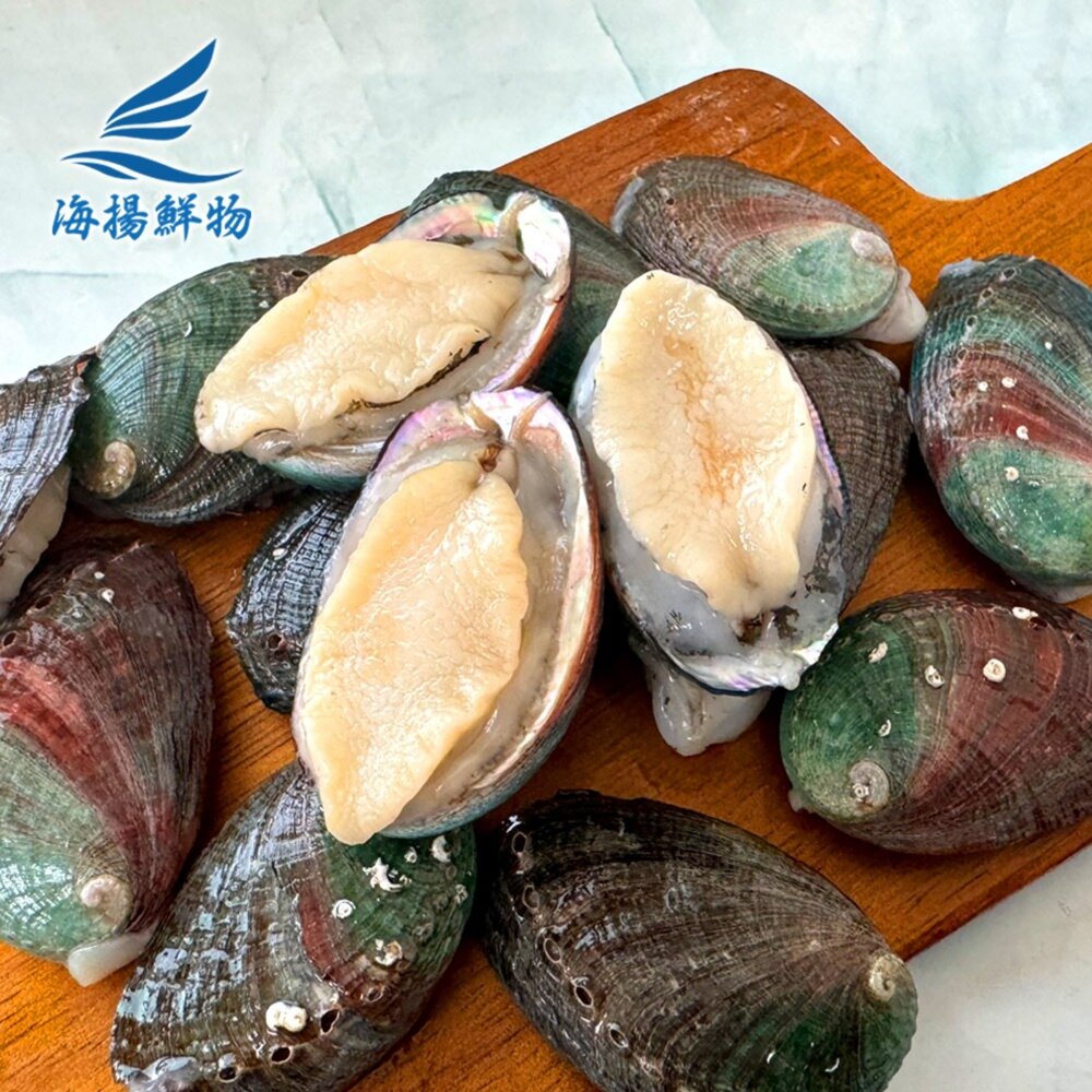 小顆九孔可做塔香九孔/醬醃九孔