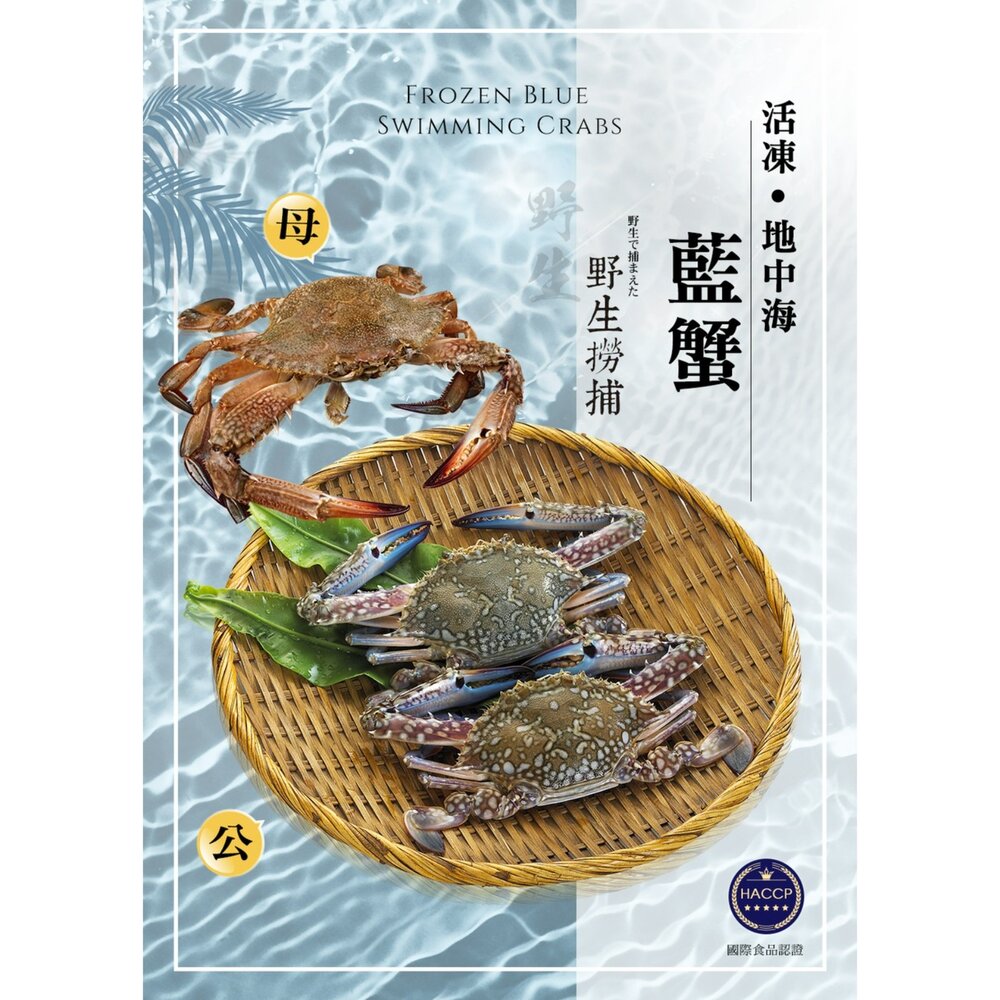 250619233905-藍蟹 母蟹 螃蟹 梭子蟹