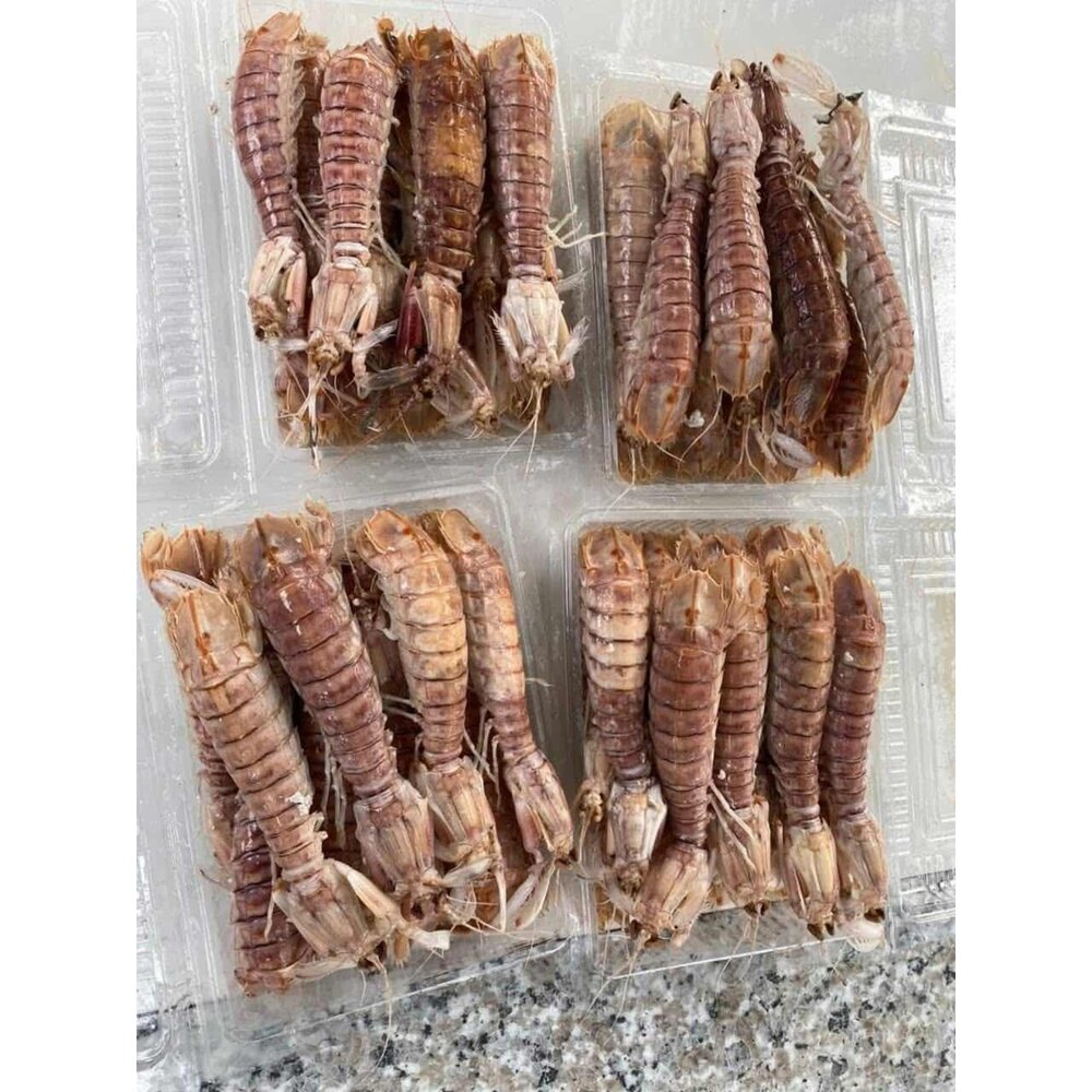 熟凍皮皮蝦 皮皮蝦 螳螂蝦 瀨尿蝦 最原始的海味 口感Q彈-圖片-2