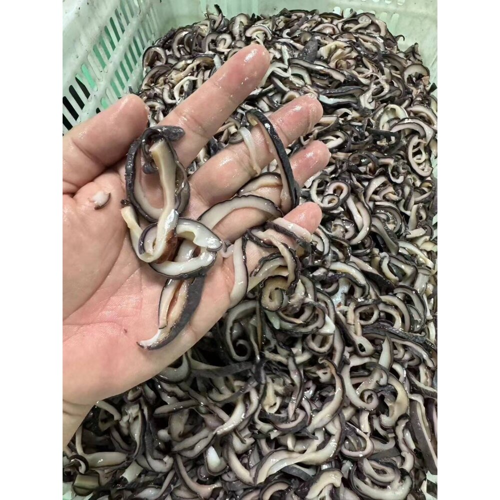海香菇🍄花枝皮