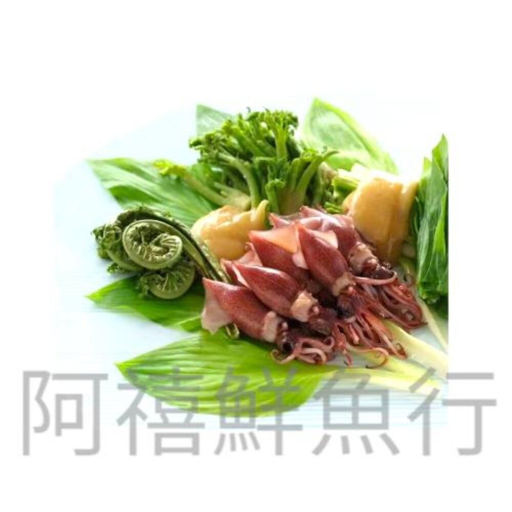 250812162019-瑩烏賊 留赖 現撈 軟足