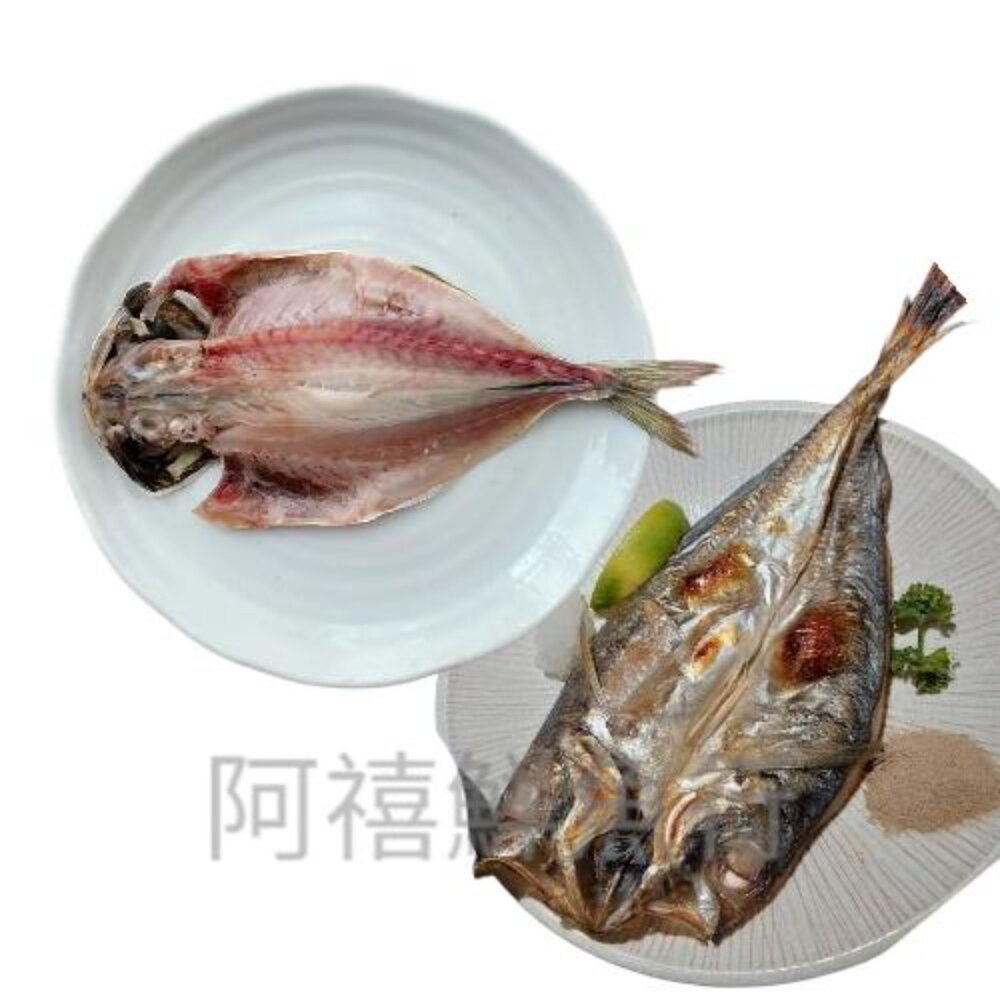 250820122154-竹筴魚一夜干 160-180G 10尾送一尾