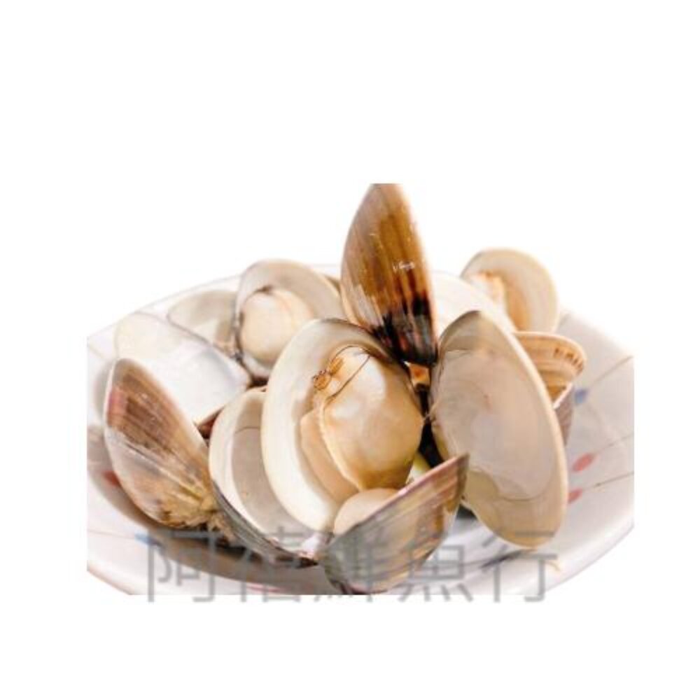 250822161110-熟凍 野生 蛤蜊 文蛤 熟凍
