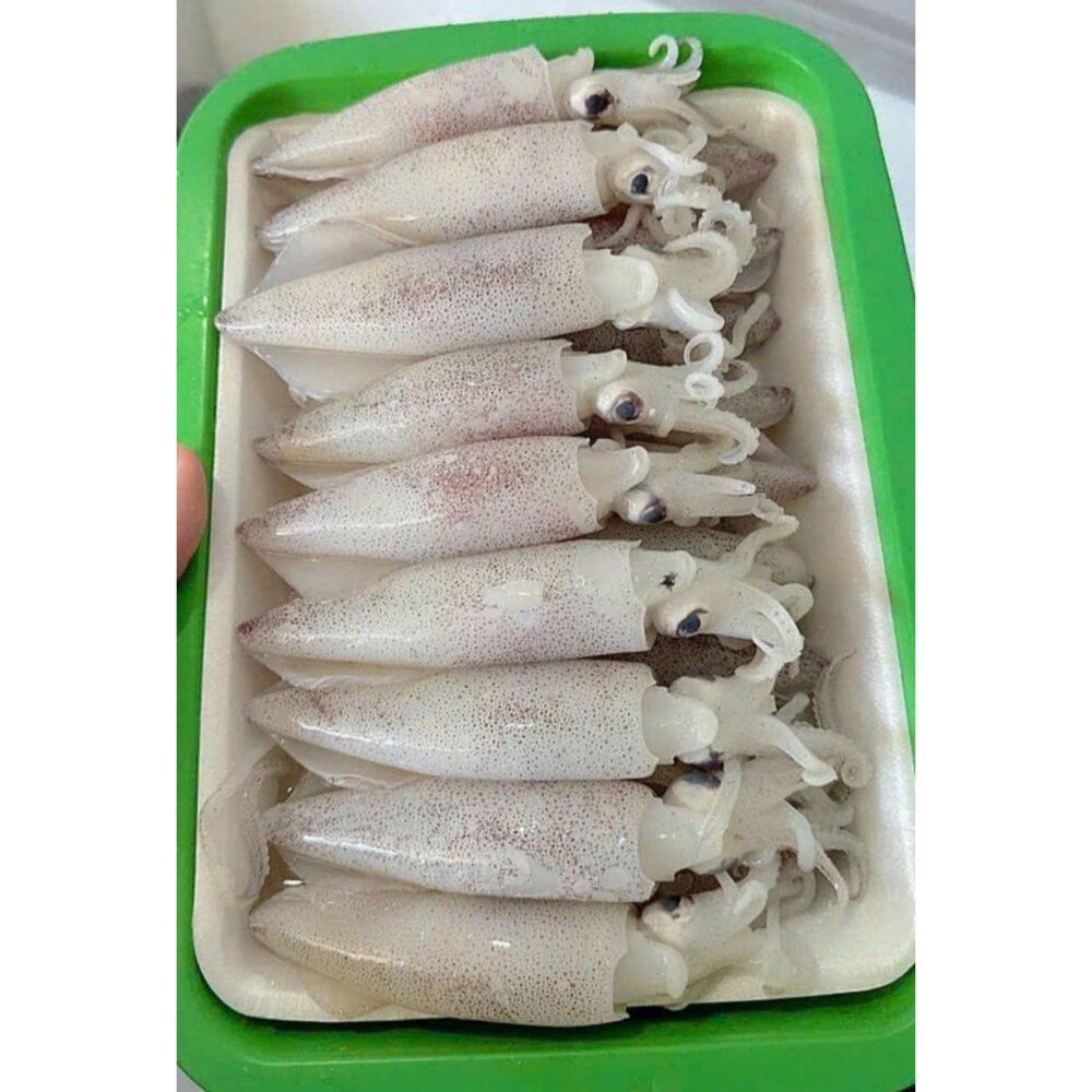 生鮮帶卵母卷-圖片-2