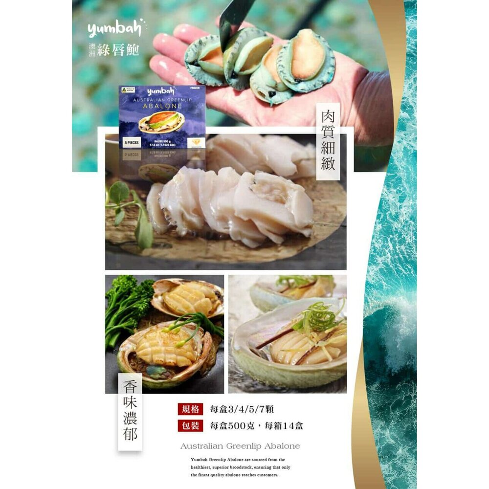 生食級 澳洲 綠唇鮑魚 鮑魚 分裝-圖片-1