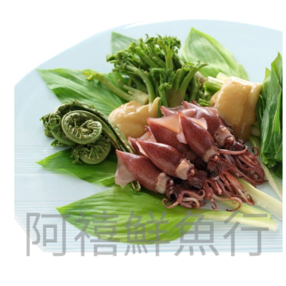 251007173147-螢烏賊 留賴 螢光小卷 現撈 軟足