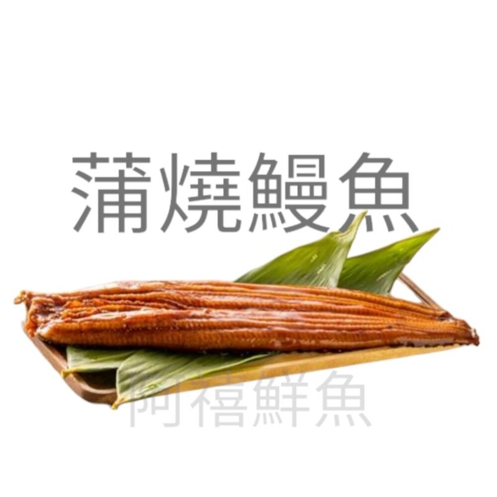 251118180814-蒲燒鰻魚 台灣 鰻魚 鰻魚飯 小尾  買10送1
