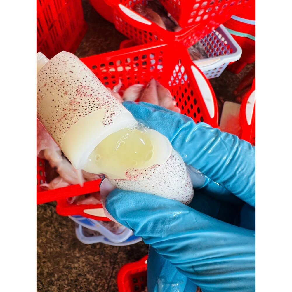 超鮮甜 有蛋生小卷-圖片-1