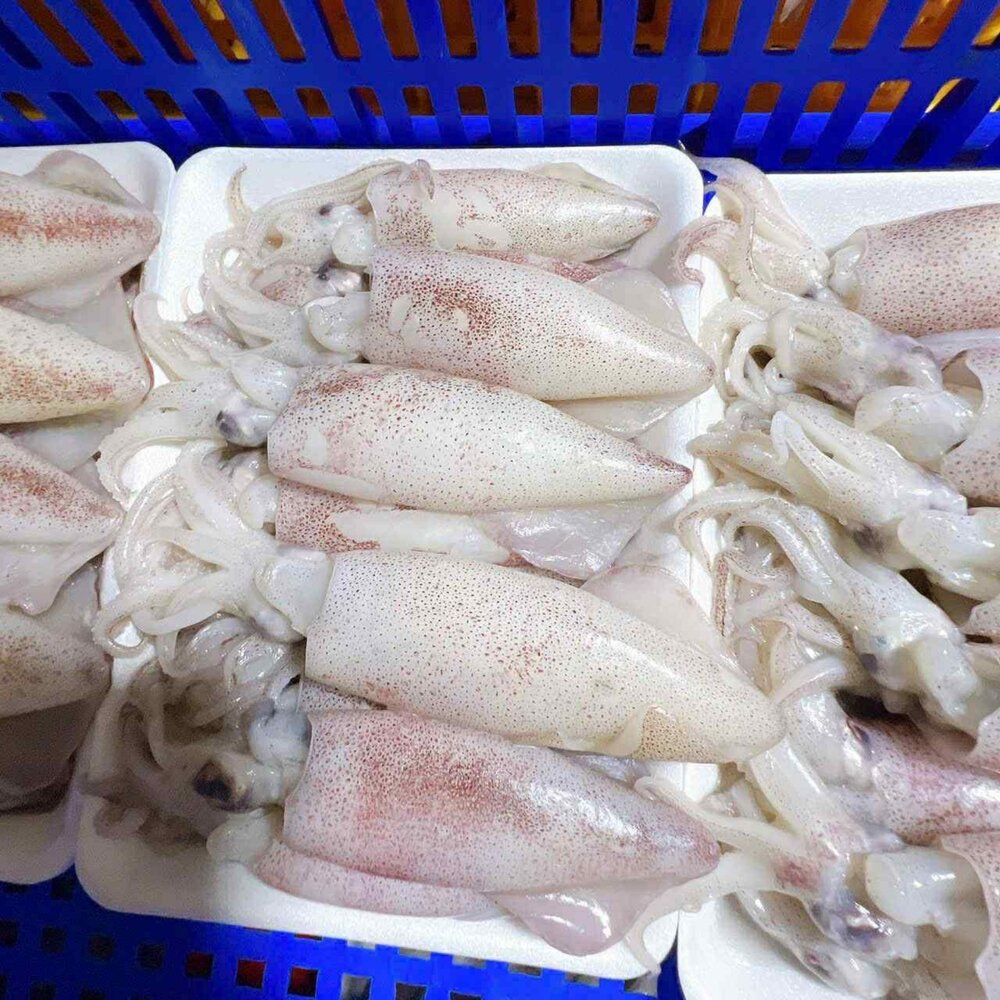 251206161727-超鮮甜  有蛋生小卷