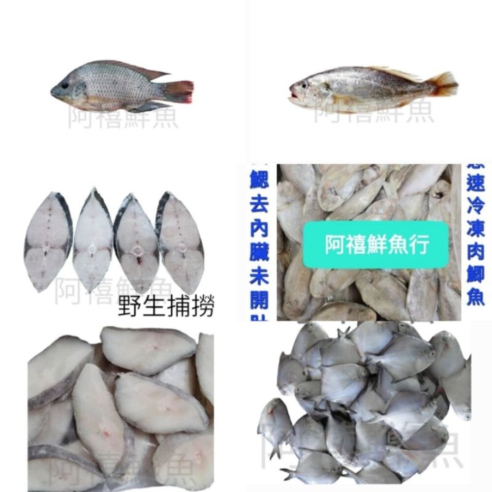 25475573603-團膳 餐廳 自助餐 吳郭魚 白口 肉魚 白鯧 鱈魚 飯菜魚