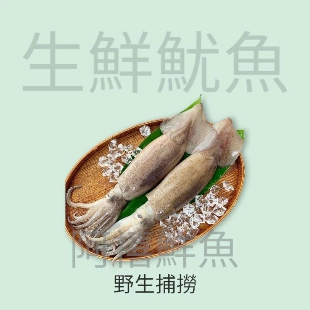 魷魚 原條 3kg 封面照片